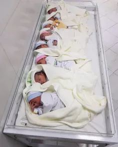 امروز در بیمارستان سید شهدا یزد نوزادان هشت قلو به دنیا ا