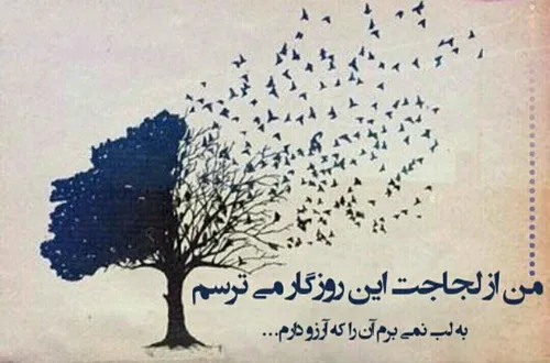 من از لجاجت این روزگار می ترسم