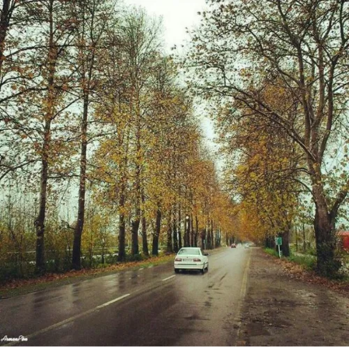 طبیعت زیبای جاده فومن