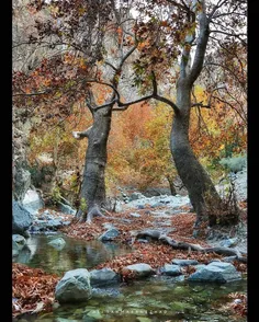 R̴a̴i̴n̴y̴🌧️
طبیعت زیبای دلفارد🍁🍂
استان کرمان 