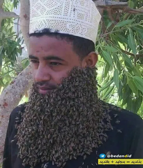 بالاخره حاج زنبور عسل رو پیدا کردم