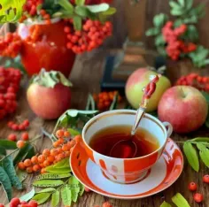 صبح مسافری ست🍎🍂