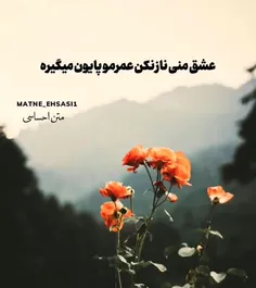 عشق من ناز نکن عمر ما پایون میگیره ...