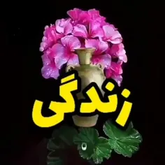 گذر عمر_زندگی