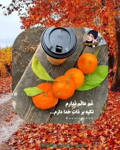 غم عالم ندارم