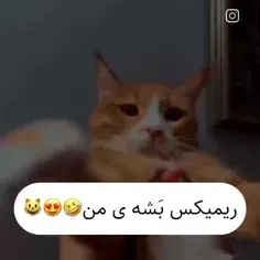 به همه تسلیت عرض میکنم 