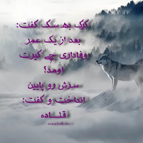 گرگ به سگ گفت: