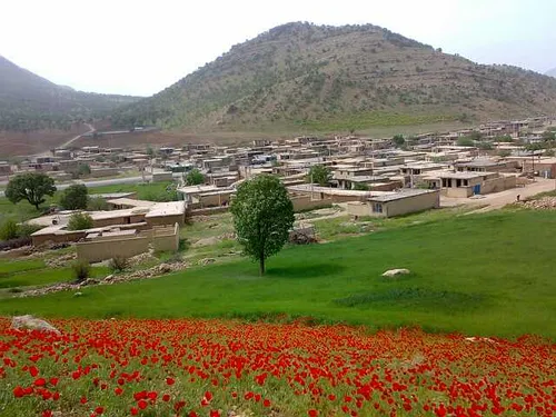 نمایی ازروستای تنگ کلوره شهرکد