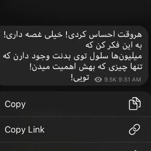 زندگی اگه قشنگ بودروزی سه بارگوشیمونو شارژ نمیکردیم😏