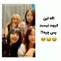 کیوتتتتتتت❤❤❤❤❤❤