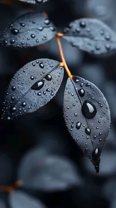 تصاویر پس زمینه my_heart_beats_for_u 74662698