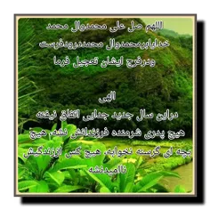 مذهبی hamid.salahi 22981437