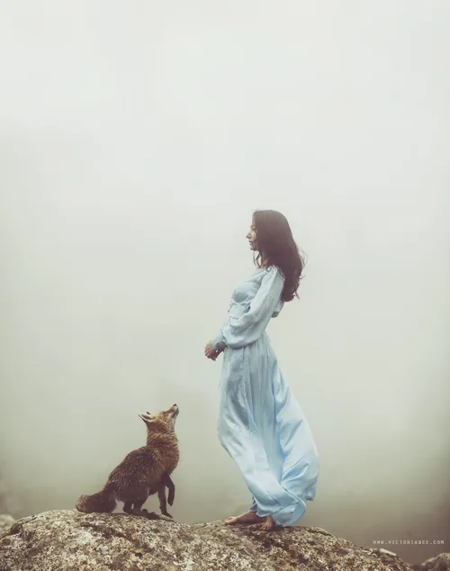 روباه زن هنری مه