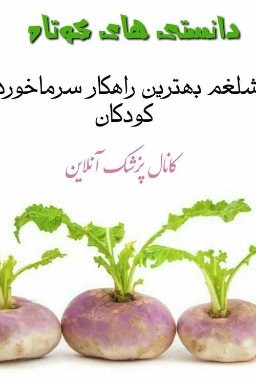 ریز نکات