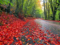 دوستان خوبم سلام صبح زیباتون بخیروشادی.