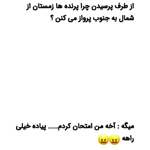 هی میگم به من نگید خنگول این استادِ 😂