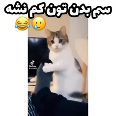 سم بدنتون کم نشه 





طنز🤣😅😂😂😂