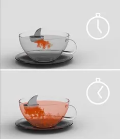 چای کیسه ای متفاوت کوسه ای