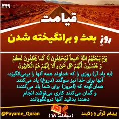 #قران #قرآن #قرآن_کریم #قران_کریم #القرآن #القران_الکریم 