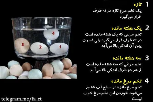 روش تعیین سالم بودن تخم مرغ