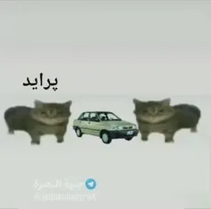 هعی🗿💔