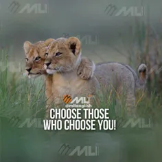 کسی رو انتخاب کن که تو رو انتخاب میکنه...