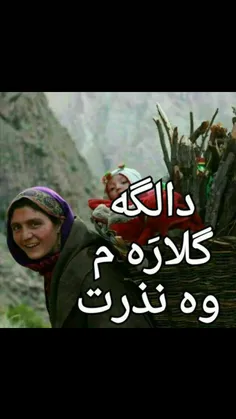 اینبار "اعتراااااااف” نمیکنـــــم، "افتخاااااار” میکنــــ