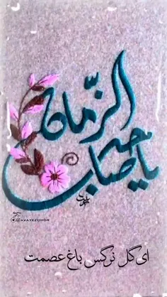 مذهبی 