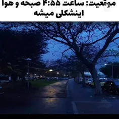 👆🏻اینو قرمز می‌کنیـ 🍯