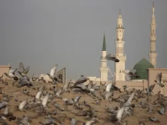 آسمان میبارد و قبر تو هم گل میشود...