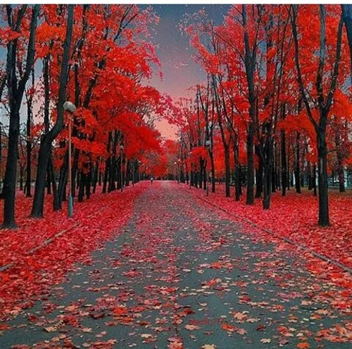 پاییز زیبای ایران