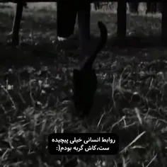 پیشی ها بهترن