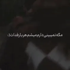 هر بار فدات ...