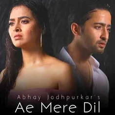 ae mere dil india music