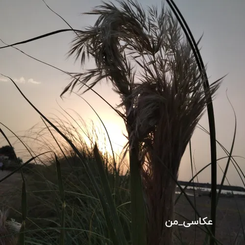 عکاسی من