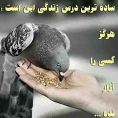 اره خوبه