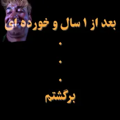 برگشتم