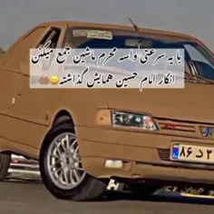 rshyadrkhwr87 76031788