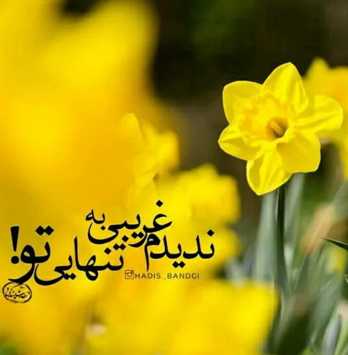 خدایا به روی درخشان مهدی