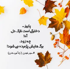 #سعید_فلاحی