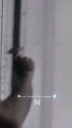 سکانس ابدویک روز فحش خواهرومادر به روش نوید محمدزاده😂