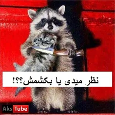 به پرو فایلم میاید نظر بدید یا بگم بکشتش ؟:))))))))))))