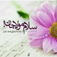 هر صبح سلام بر مهدی❀