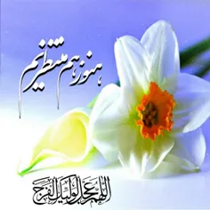 #سلام_بر_پدر_مهربان_زمین