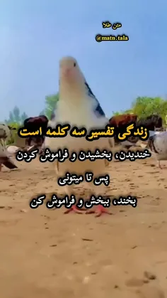 زندگی تفسیر سه کلمه است
