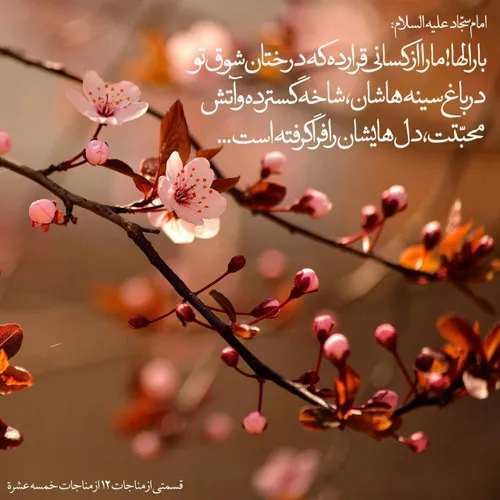 ولادت امام سجاد علیه السلام مبارک❤