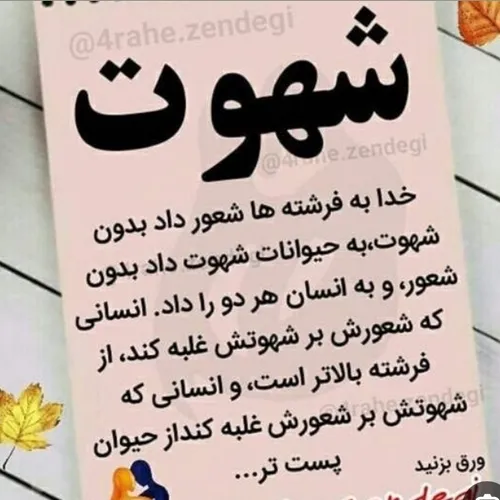 چگونه می اندیشیم