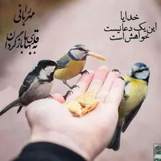 سلام. صبح بر همه خوش