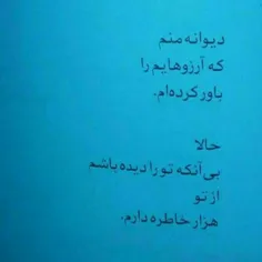 شاید یک روز ،