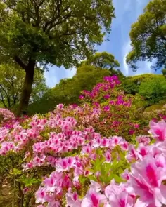 برای خودت وقت بگذار، گاهی با خودت کنجی خلوت کن و کارهایی 